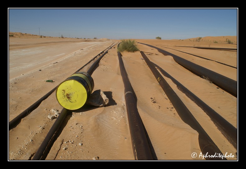 108 Le paysage se decore de plus en plus de pipelines qui serpentent a la surface du sol